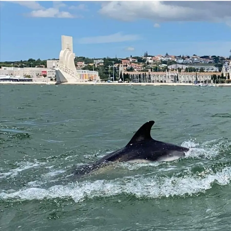 Apartment Tejo House River Lisbon Almada